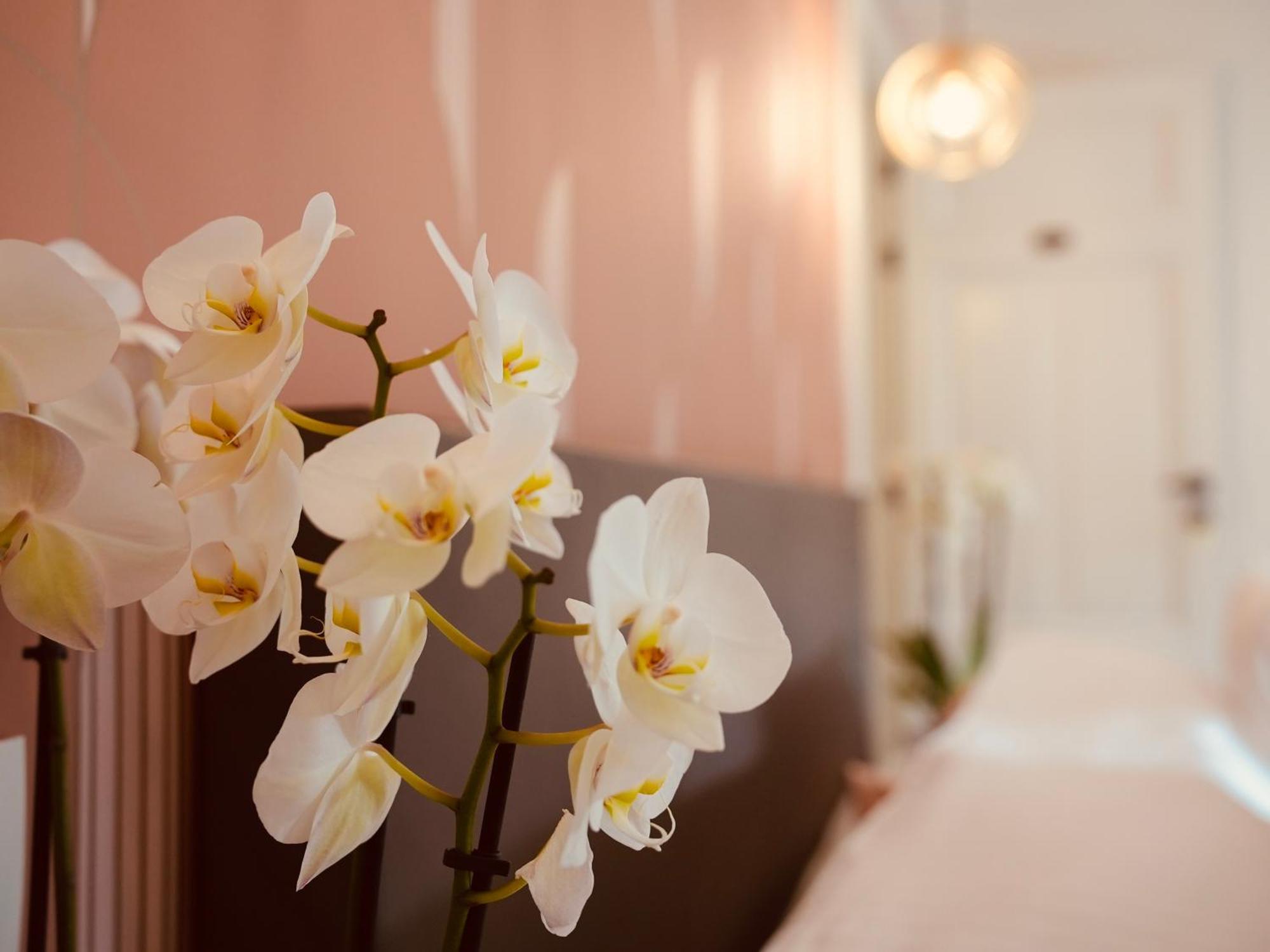 L'Amarante Chambres D'Hotes Ou Gite Citadin Theux Ngoại thất bức ảnh